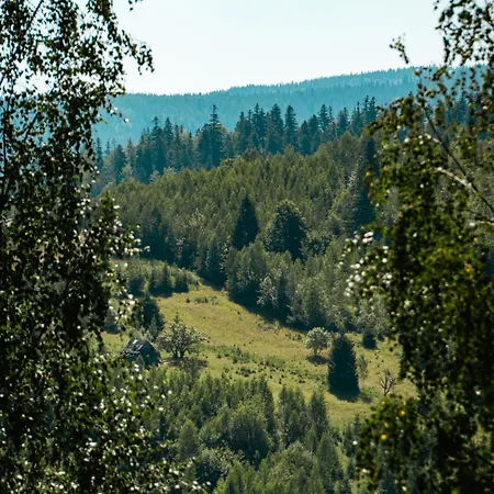 Dom wakacyjny Dilok Hills Mikuliczyn